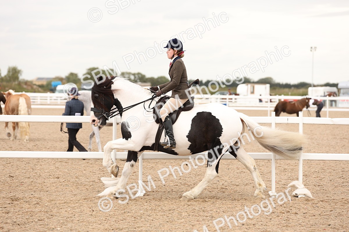 SBM_19690 - Class 216 - Ridden Traditional - Native Cob
