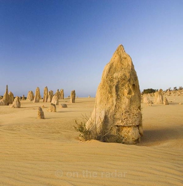 Pinnacles 9 - Fingers in the Desert
