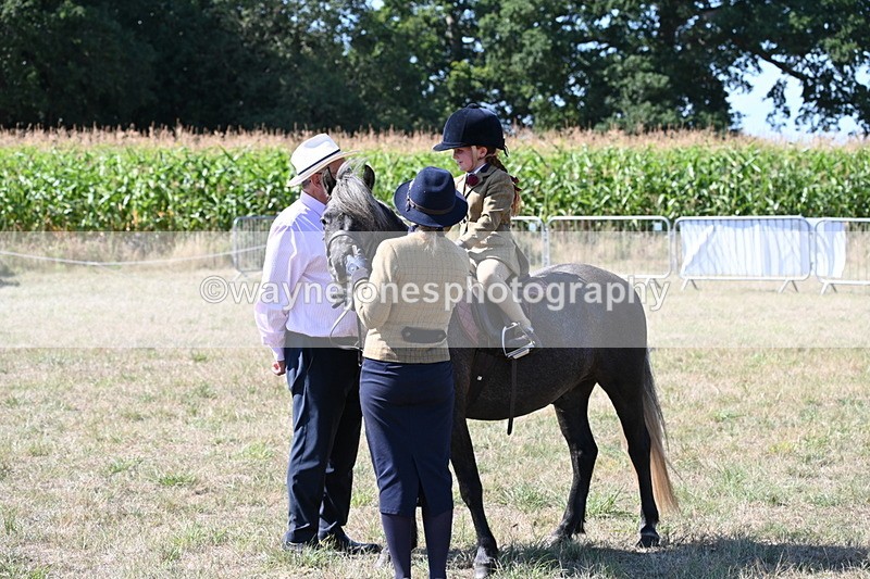 WJ6_7937 - Class 36 Lead Rein
