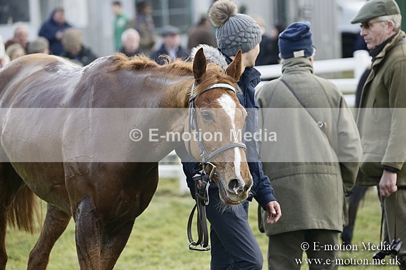 PtP 031217 529 - Hursley Hambledon Point-to-Point Larkhill 03/12/17
