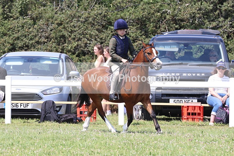 JPP_2334 - Class 20: Tiny Tots Working Hunter Pony