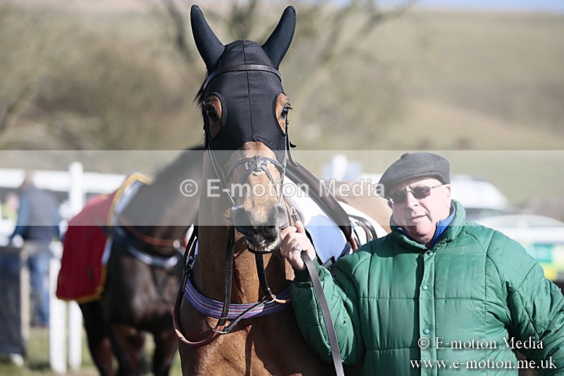 PtP 240218 192 - Vine & Craven Hunt Point-to-Point Barbury racecourse 24/02/18