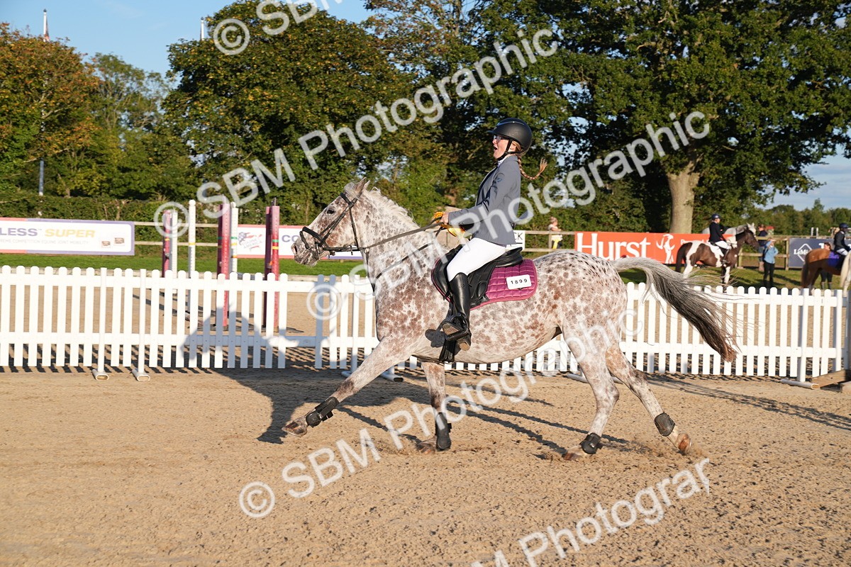 SBM_30096 - J44 - Super Speedy Scurry Open - 70cm