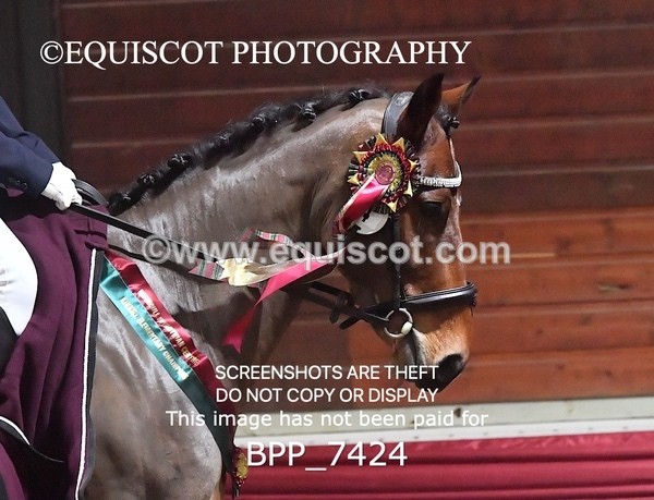 BPP_7424 - PRESENTATIONS