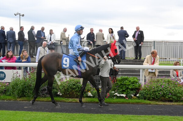 yr19082021r6-5 - Race 6 4.45pm British EBF & Sir Henry Cecil Galtres Stakes