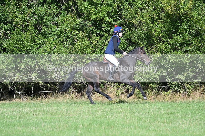 WJ7_8563 - 60cm Pairs