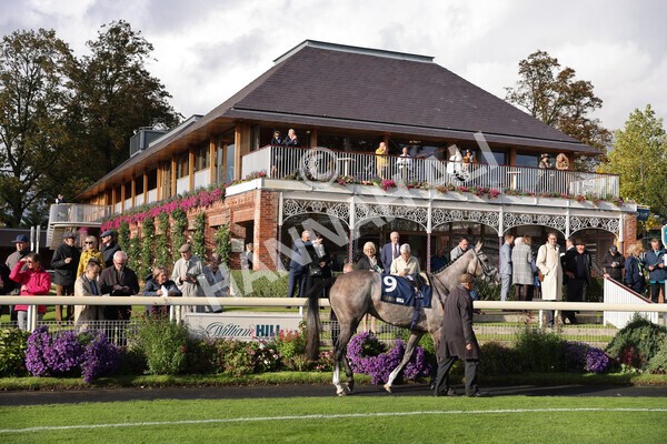 yr07102022r4-9 - Race 4 3.50pm William Hill Best Odds Guaranteed Stakes