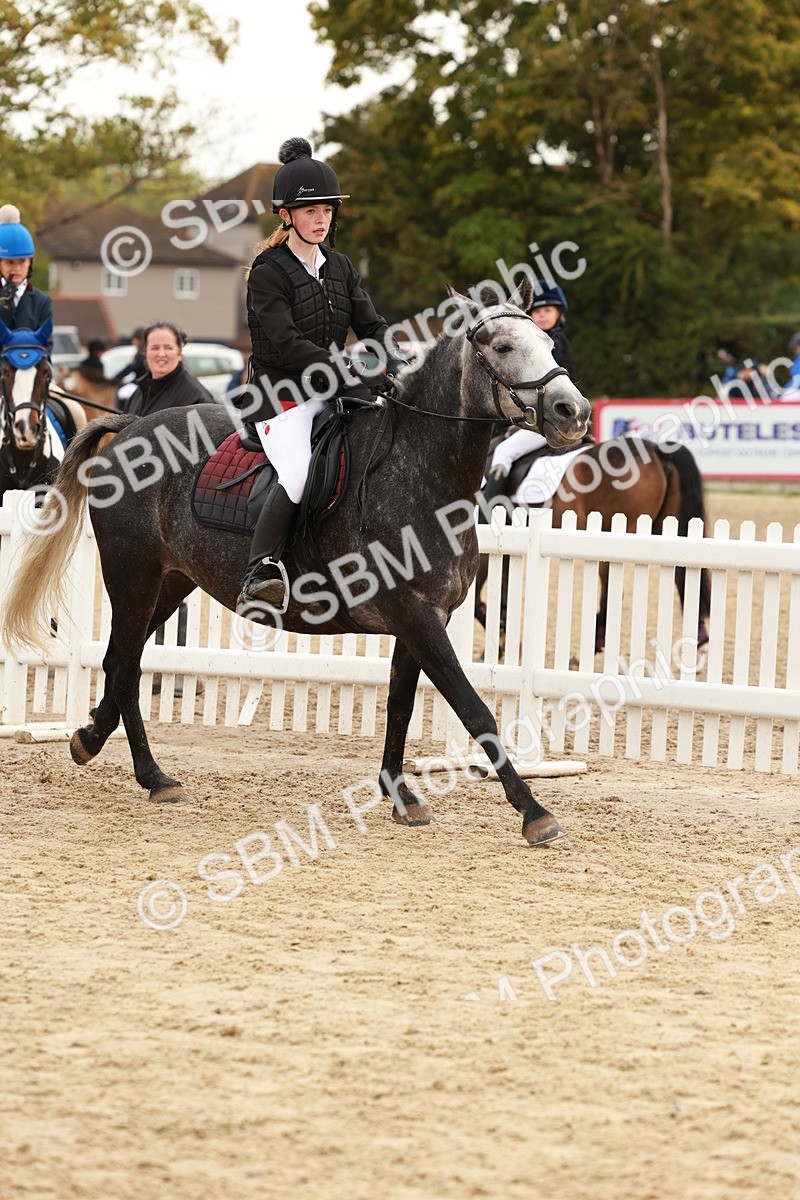 SBM_57601 - J11 - Junior Pony 50cm Championship