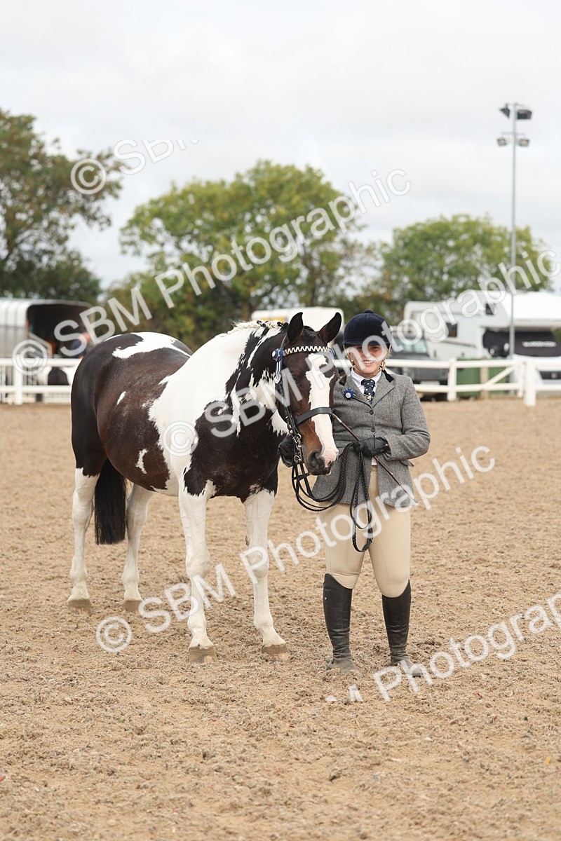 SBM_02116 - Class 15 - IH Coloured