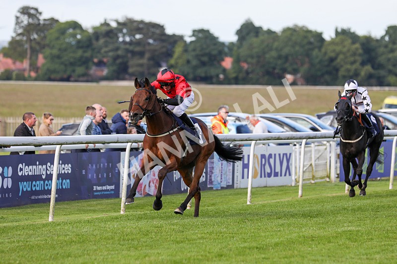 180624-Race 3-Sunny Orange-7863 - Race 3