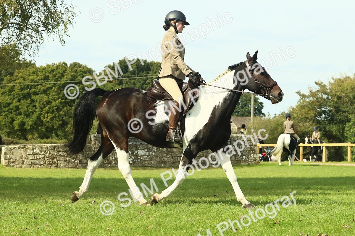 SBM_66522 - S34 - Rehabilitated Rescue Horse & Pony In Hand & Ridden