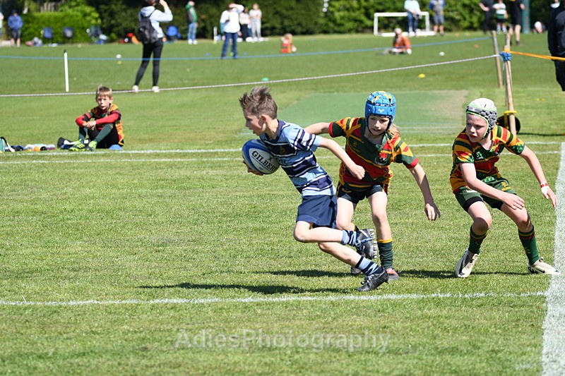  - Selby Rugby Festival 2025