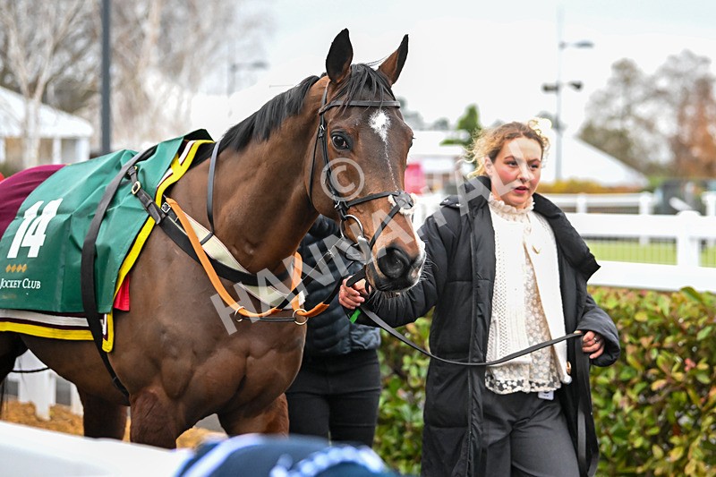 131224-Race 6-Statuario-9550 - Race 6