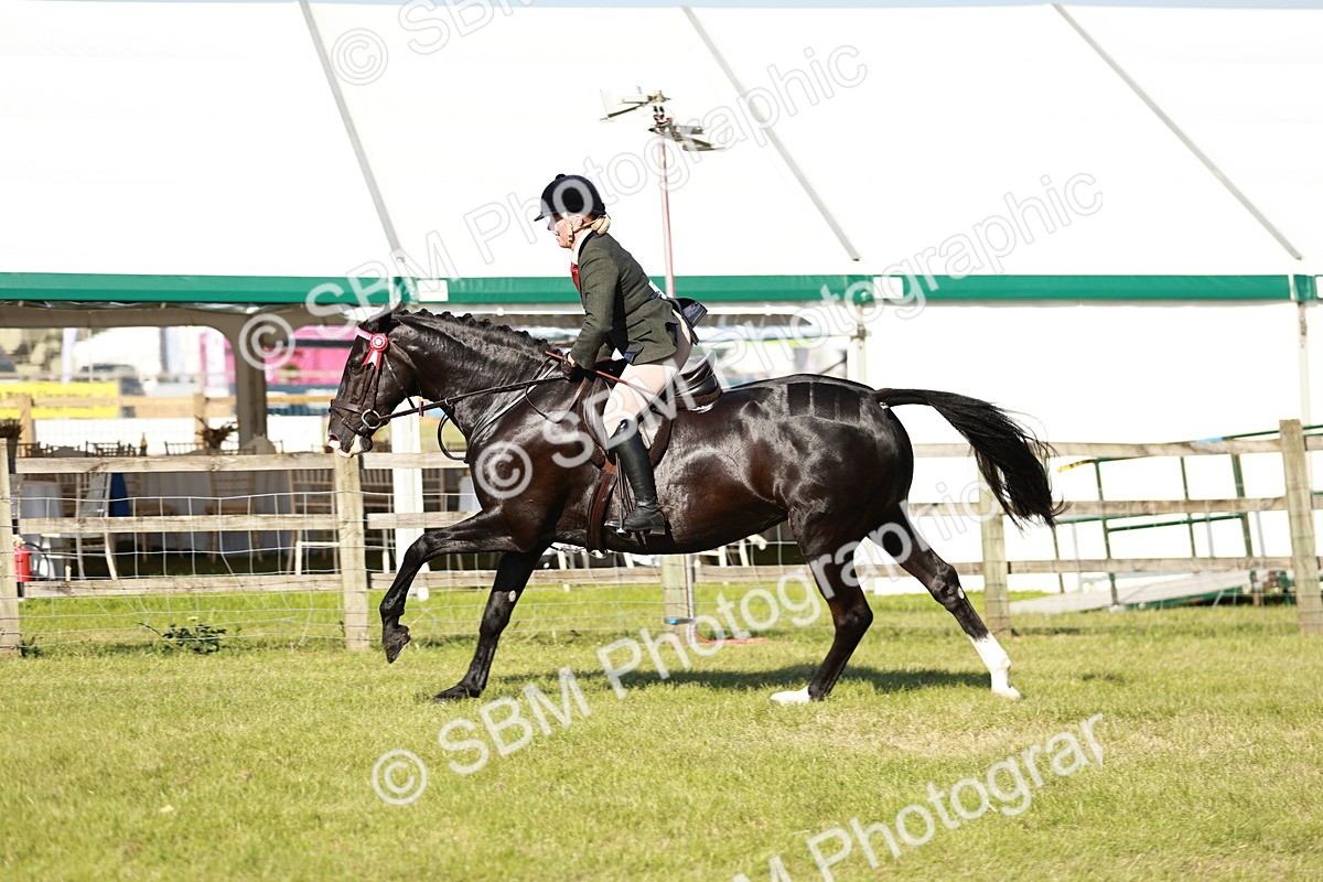 SBM_19254 - Class 115-116 - LIHS BSHA Rising Star Working Hunter & Show Horse