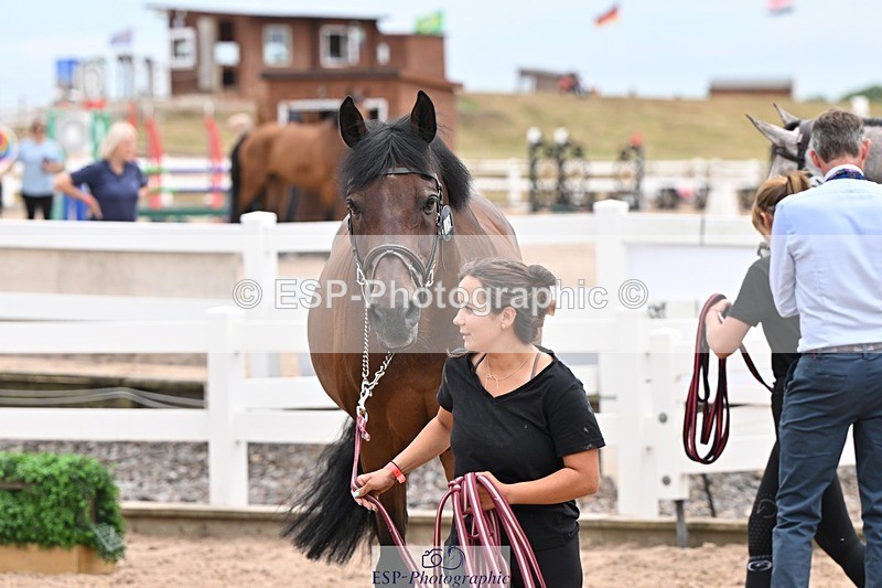 250716-144615-01383 - Trot Up 2.30 to 3.30