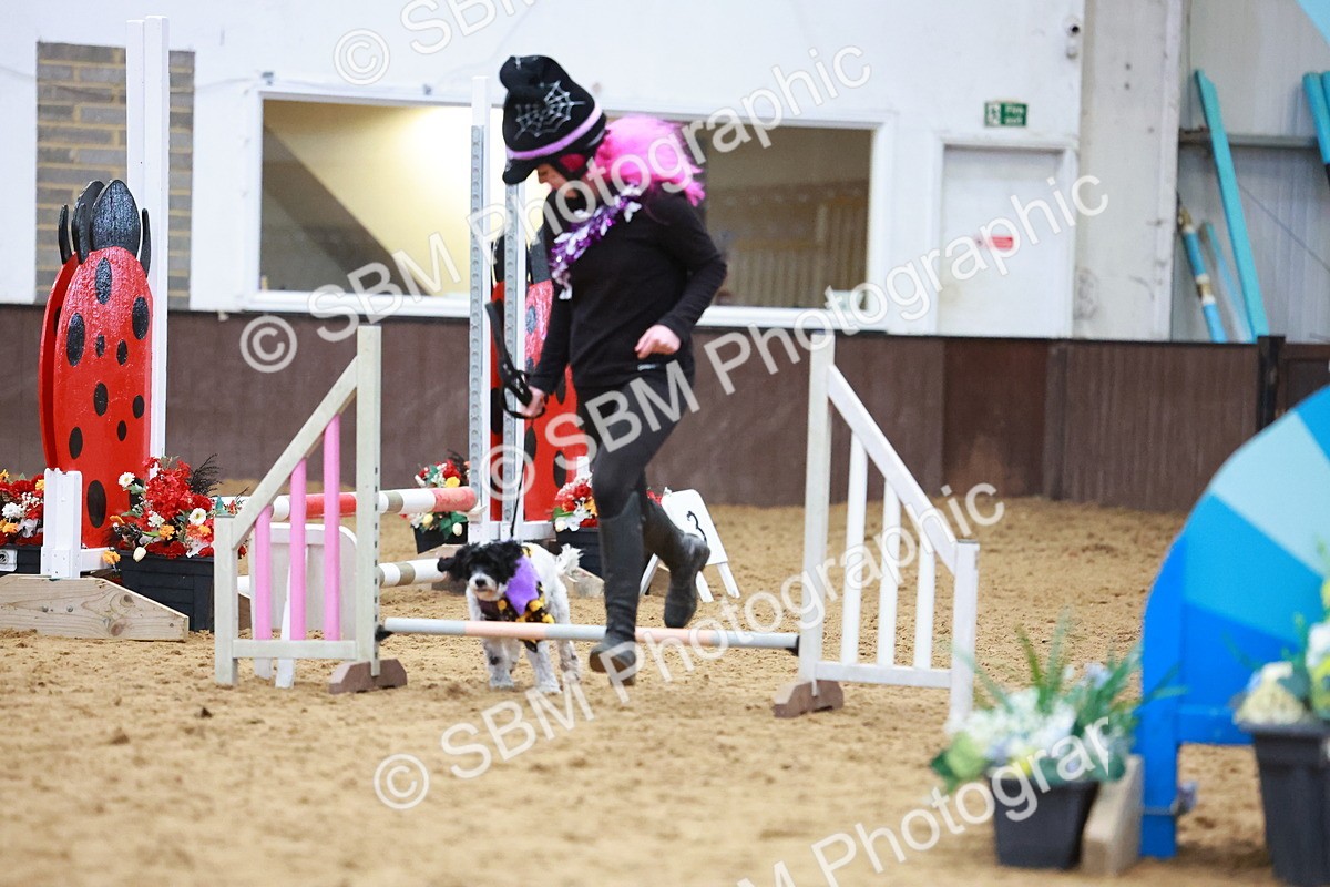 SBM_001567 - Class 3 - Horse & Hound (60cm)