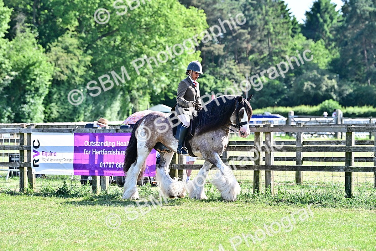 SBM_19429 - Class 101-102 - BSPS LIHS Performance Coloured Horse/Pony