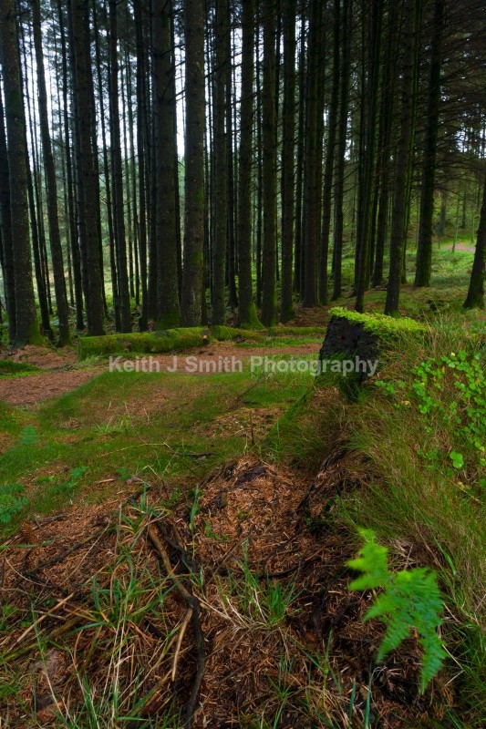 YR6M9006 - United Kindom