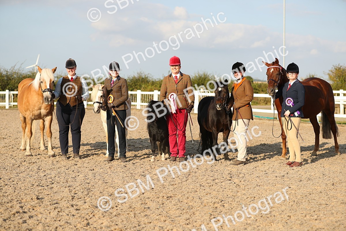 SBM_09154 - Class 29 IH Veteran Pony