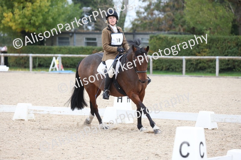 20251011-0511 - Class 5 - Novice 3