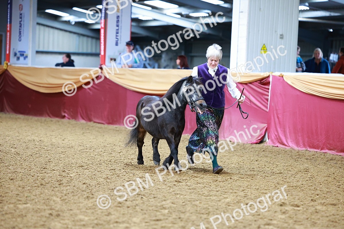 SBM_16123 - Class 901 - Sup Final - IH Diamond