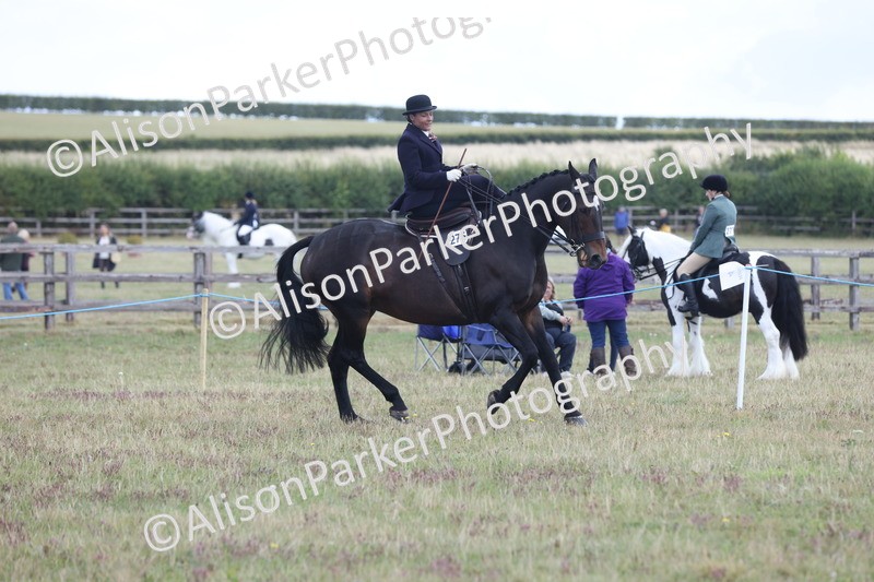 20250831-1204 - Class 15 - Ridden Veteran