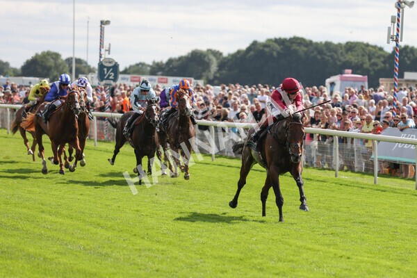 yr18082021r4-75 - Race 4 3.35pm Juddmonte International Stakes (British Champion Series race)