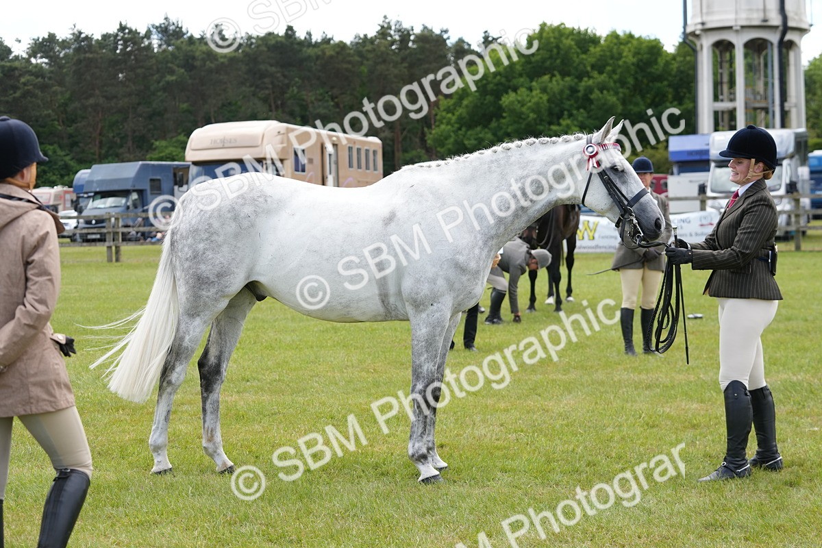 SBM_16215 - Class 105-106 - RIHS Riding Horses