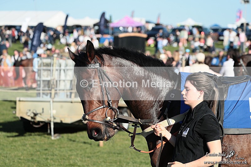 PtP 210326 927 - VWH Cirencester Races 21/03/26