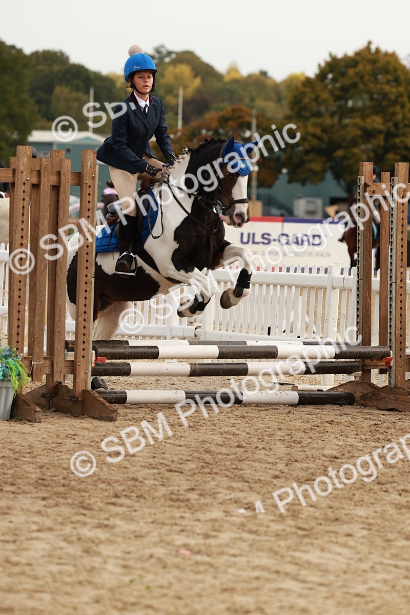 SBM_57692 - J11 - Junior Pony 50cm Championship