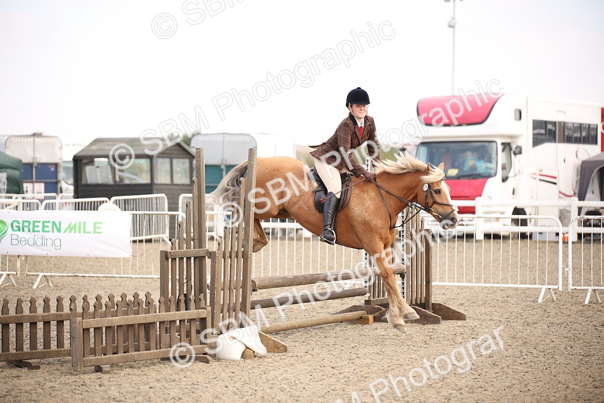 SBM_15998 - Class 408b - Working Veteran 70cm (20+)