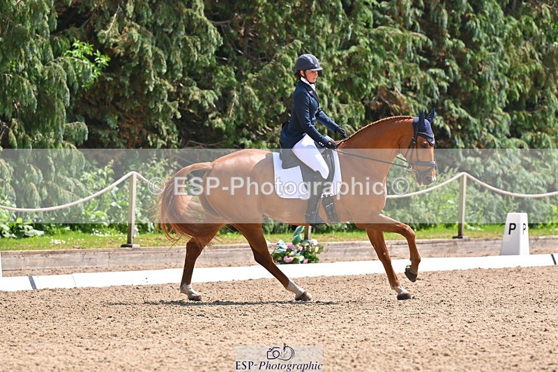 250523A-141532-07272 - B-360-Lucy.K.Wheeler-KING.CREOLE.VD.N.RANCH