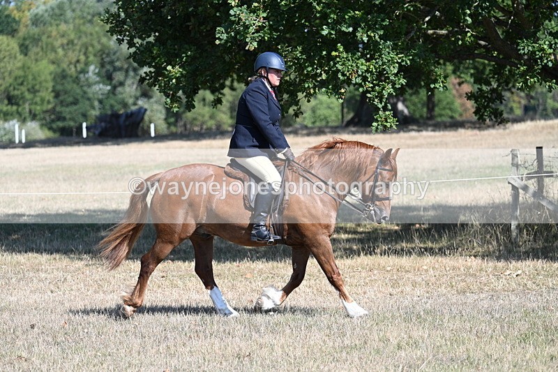 WJ7_3851 - Class 9 Mountain & Moorland Ridden