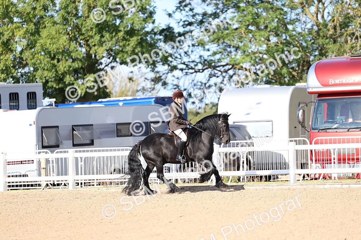 SBM_08943 - Class 302 - Ridden M&M - Large Breeds