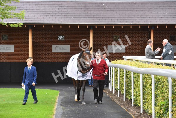 yr20082021r4-49 - Race 4 3.35pm Coolmore Wootton Bassett Nunthorpe Stakes (British Champions Series Race)