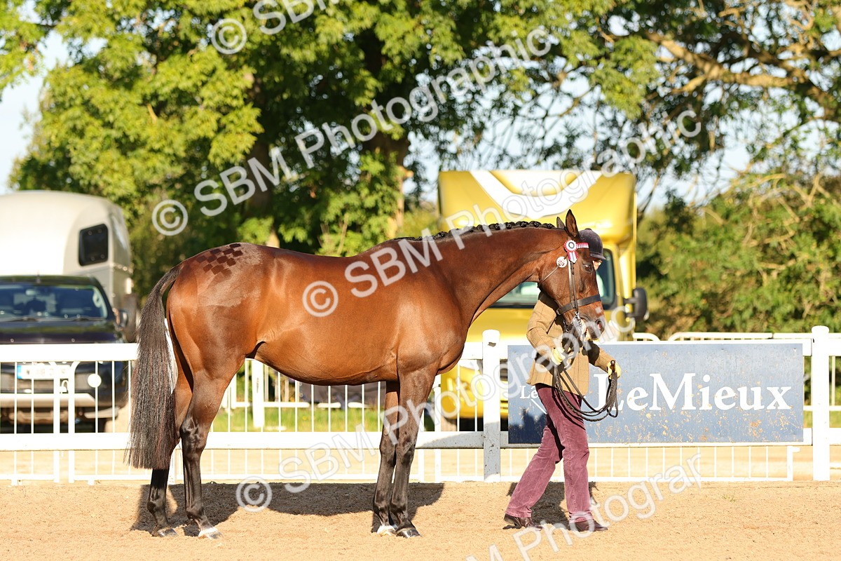 SBM_07982 - Class 201 - Best Turned Out - IH