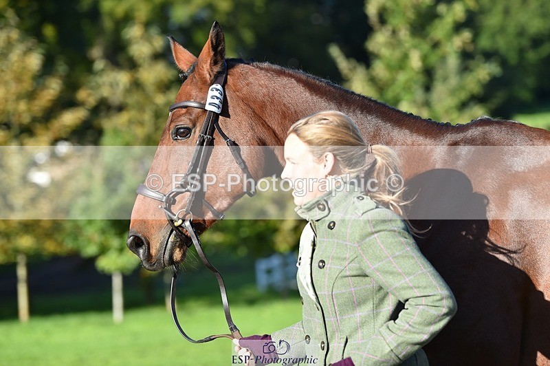 231022-102028-22426 - 433-WILLIAM-Laura.Sharpe-TrotUp+SJ