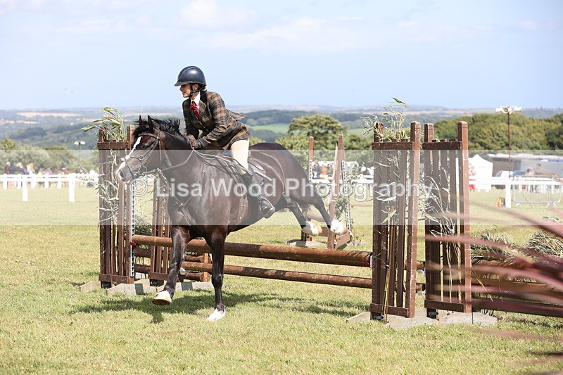 JPP_2216 - Class 19: Working Hunter 60cm