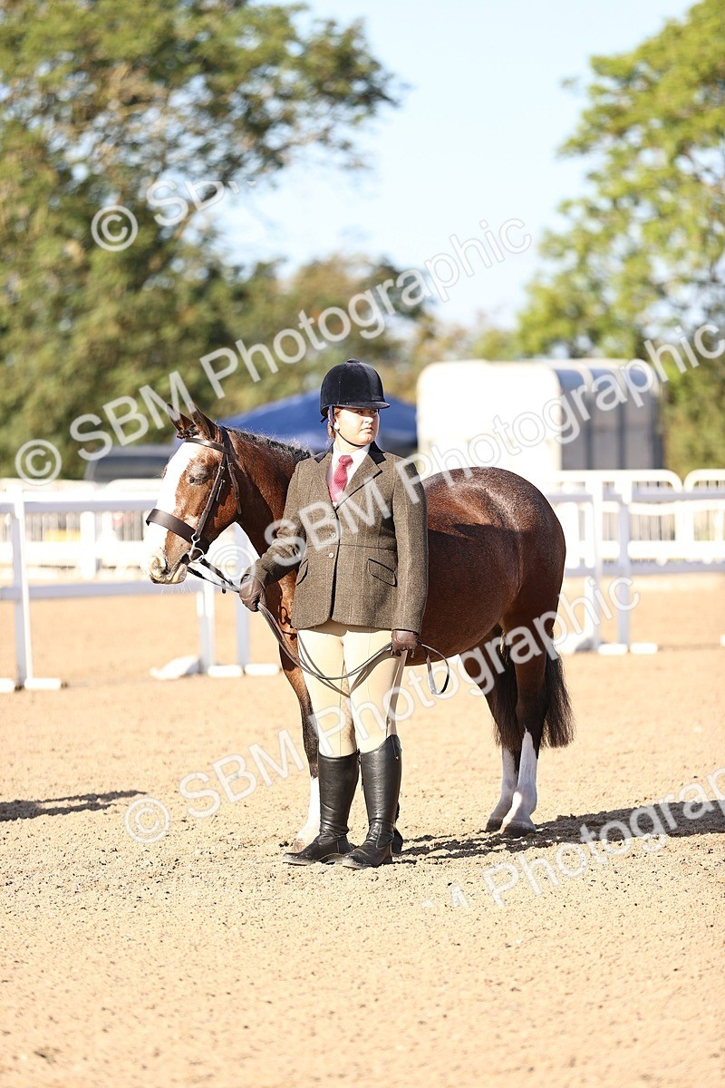 SBM_08464 - Class 402 - IH Veteran Pony