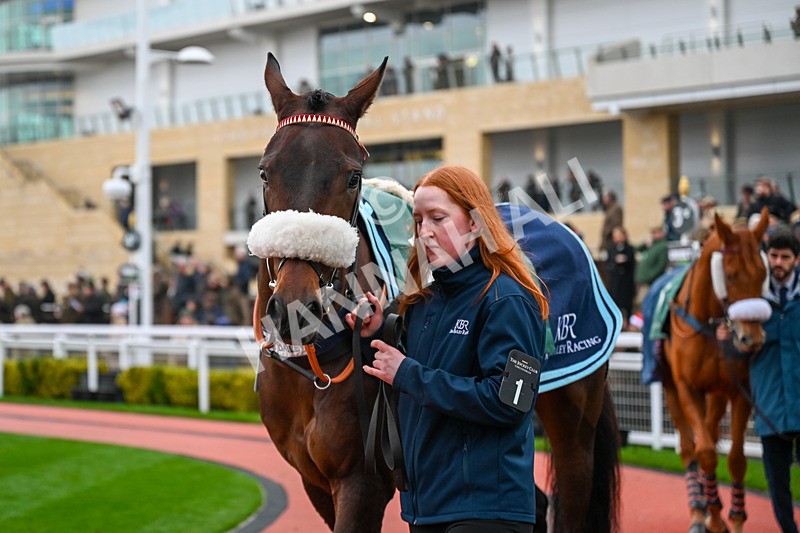 131224-Race 4-Chianti Classico-9656