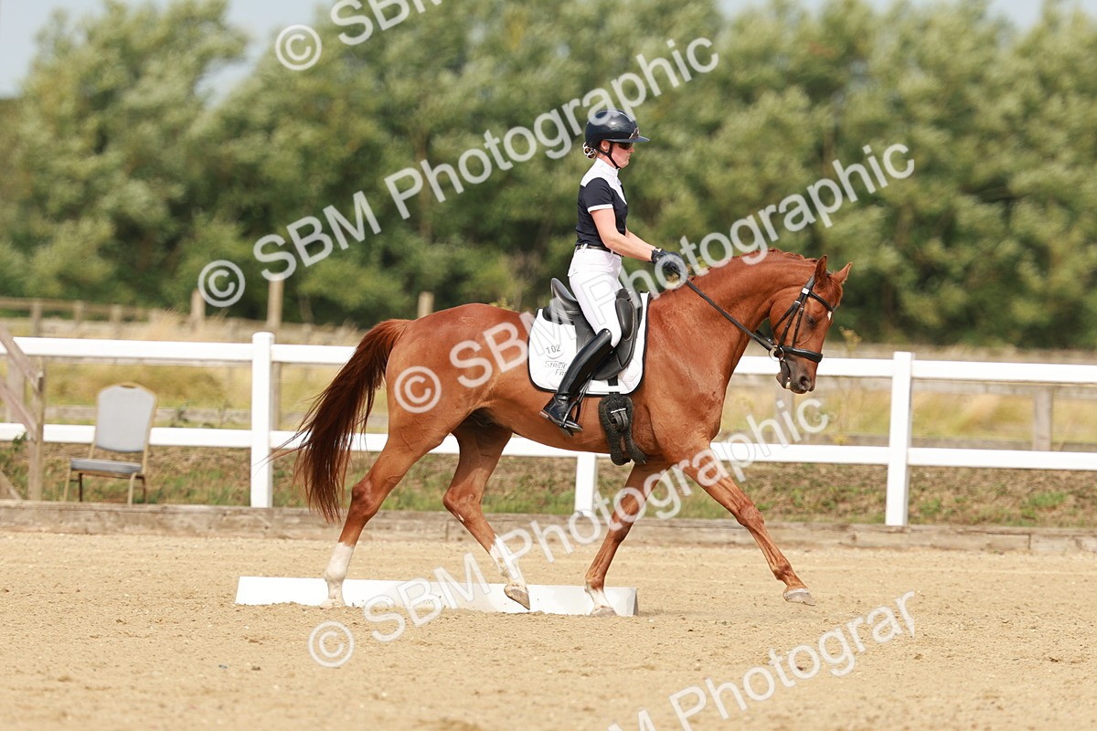 SBM_021616 - Class 13 - N5