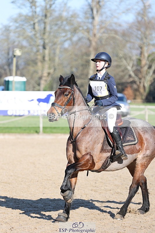 250209A-112406-00768 - 80cm 11.10 to End