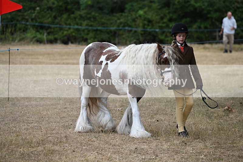 WJ6_7897 - Class 10 Coloured in Hand