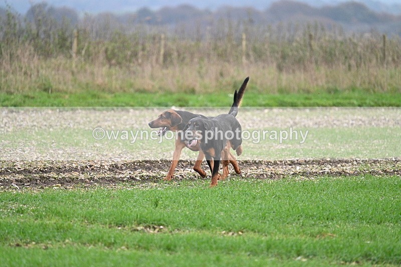 WJ7_0163 - Camera 1 & Last fence