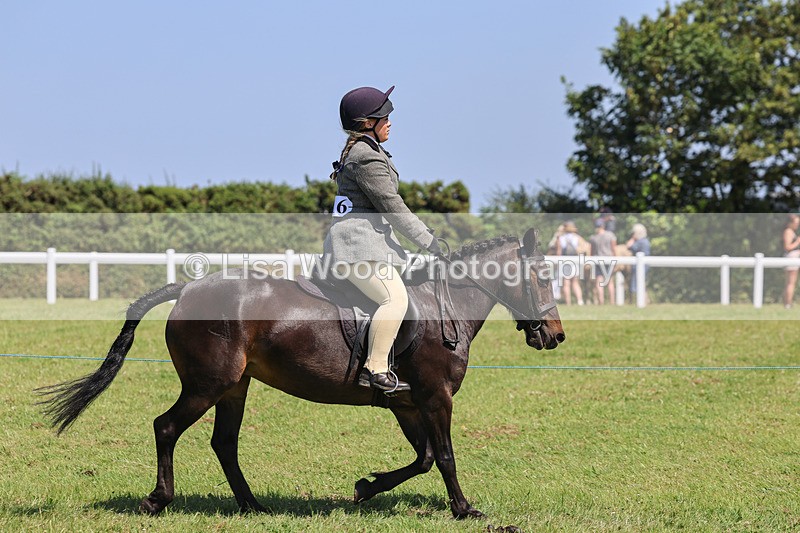 IMG_2329 - Class 38: Veteran Ridden
