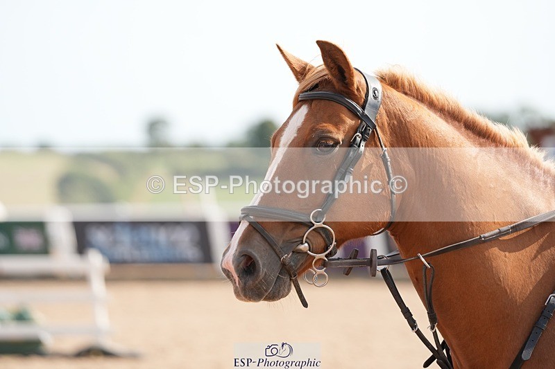 250805-163354-00314 - 70cm