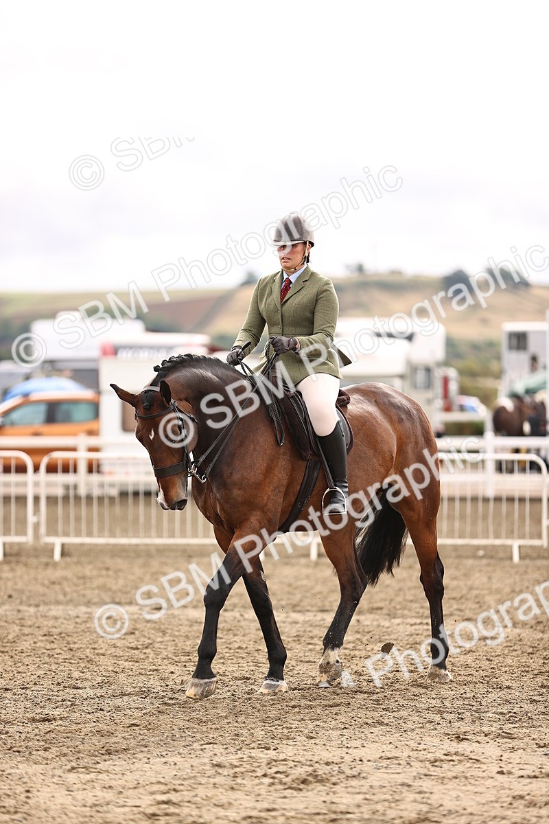 SBM_00300 - Class 52 - Ridden Veteran