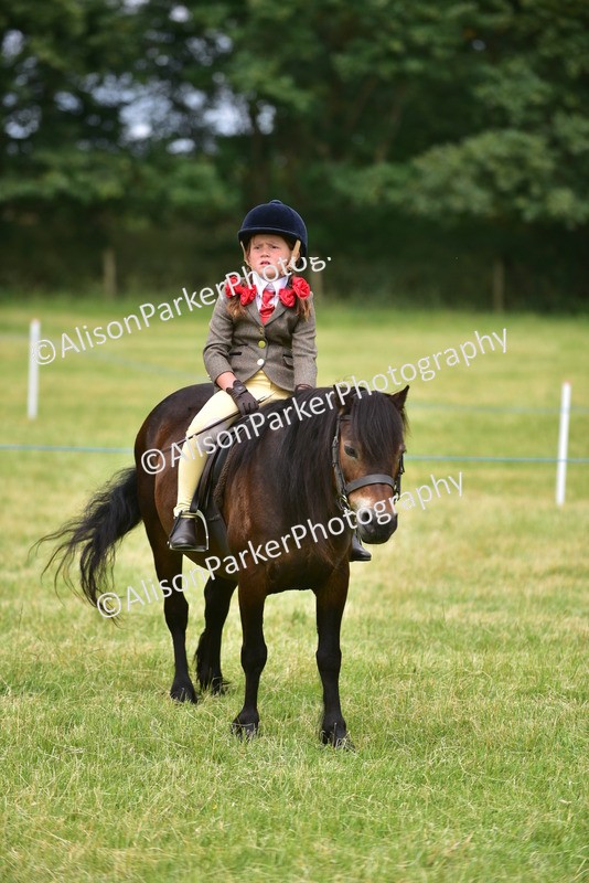 20260614-3685 - Class 15 - Prettiest Mare