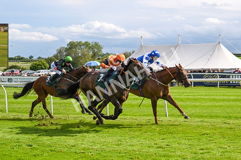 180624-Race 5-Sea The Dream-0585 - Race 5