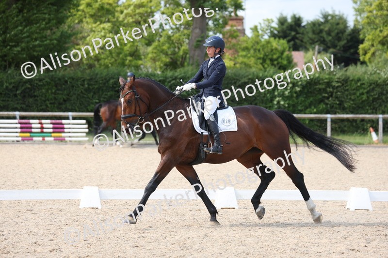 20250604-1261 - Class 9 - Advanced Medium 3